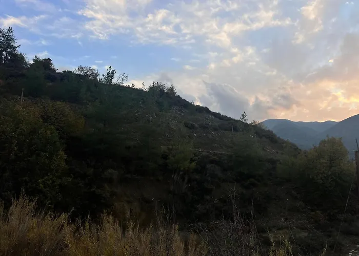 Artemis House Case de vacanță Kakopetria